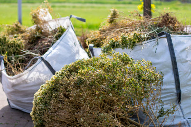 Best Local Junk Hauling  in Congress, AZ